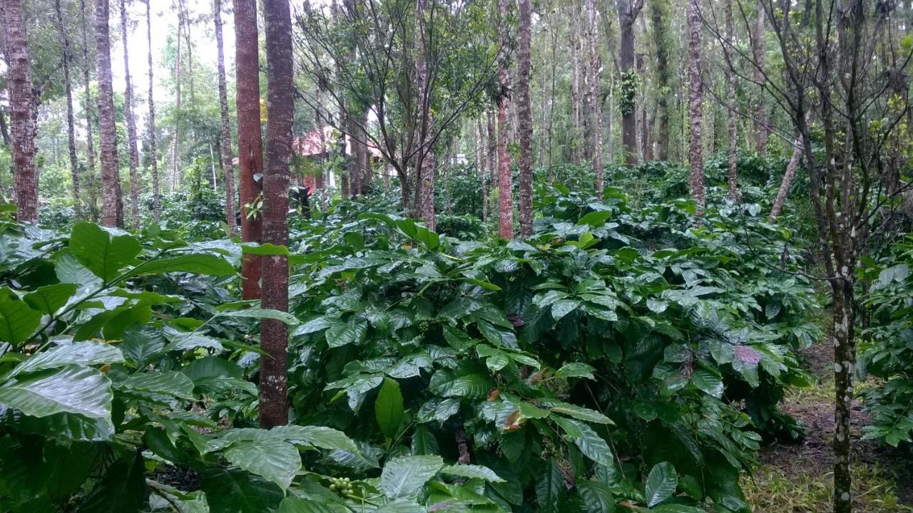Rai Cottage @ Coorg ,Suntikoppa Exterior foto