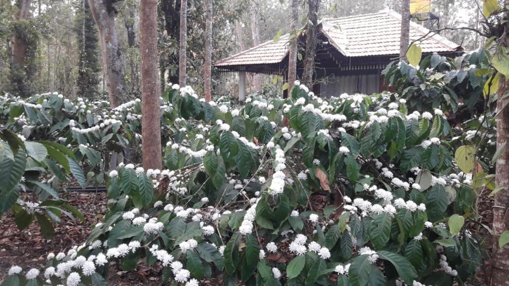 Rai Cottage @ Coorg ,Suntikoppa Exterior foto