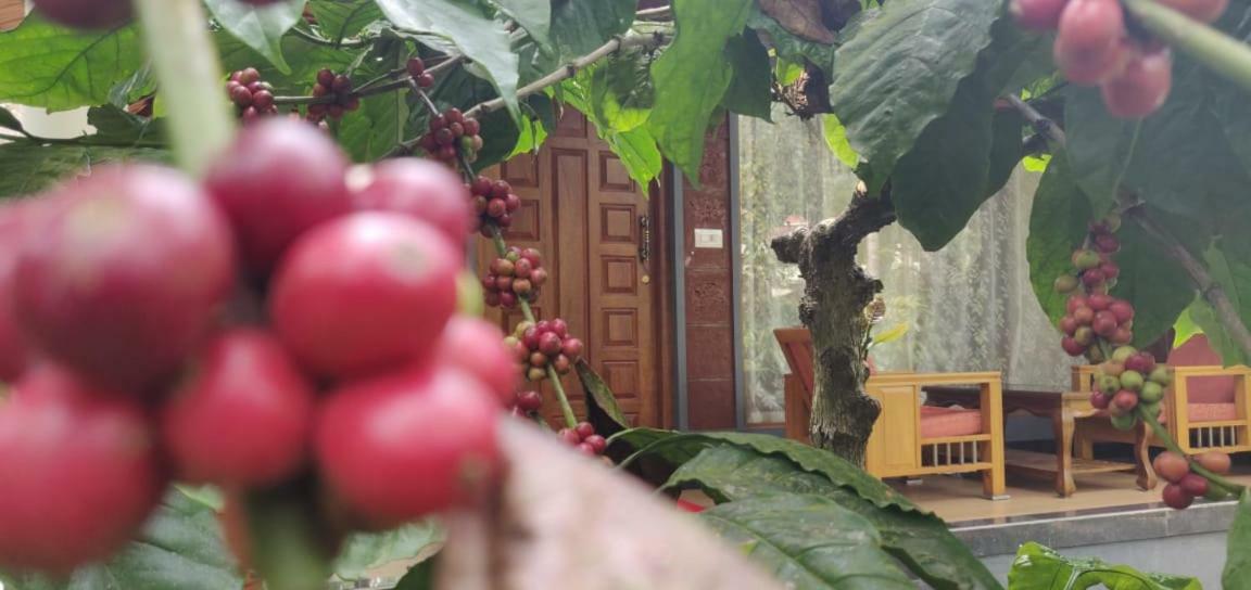 Rai Cottage @ Coorg ,Suntikoppa Exterior foto